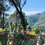 Aragoniteazzurra Casa * 고네사