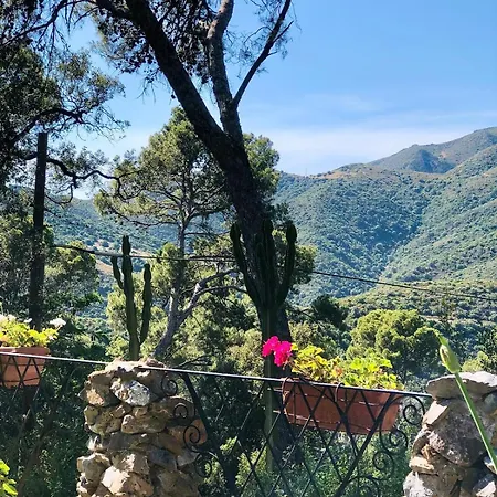 Aragoniteazzurra Casa * غونيسا
