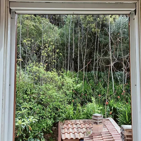 Aragoniteazzurra Casa Semesterbostad *